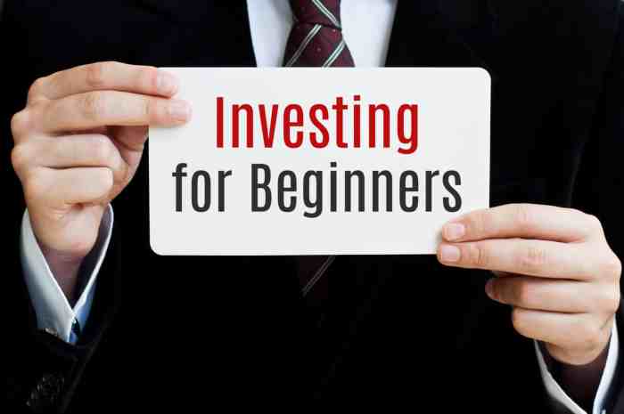 Investing portfolio investment 101 beginners healthy meaning investments types picture diversification simple accounts retirement even does guide