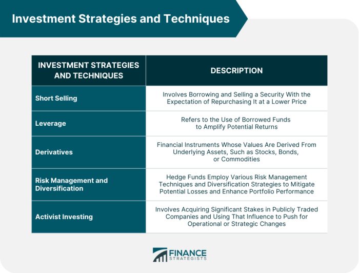 Funds strategies hedge isbn abebooks definitive techniques publisher wiley 2003