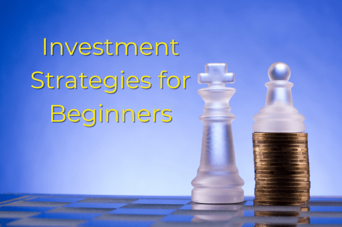 Investment strategies beginners top