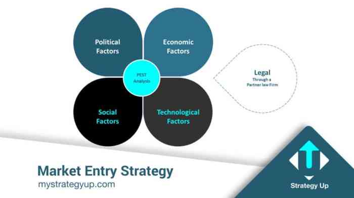 Strategy pestle define