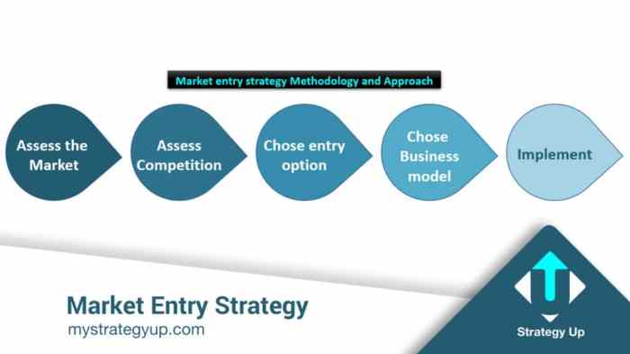 Market entry methodology