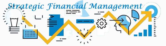 Strategic Financial Management Techniques