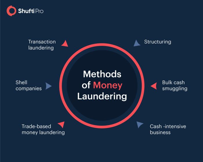 Laundering compliance aml