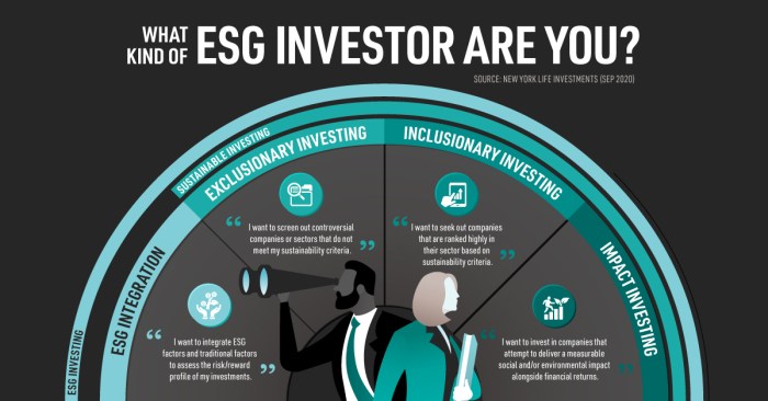 Esg investment investing strategies philosophy