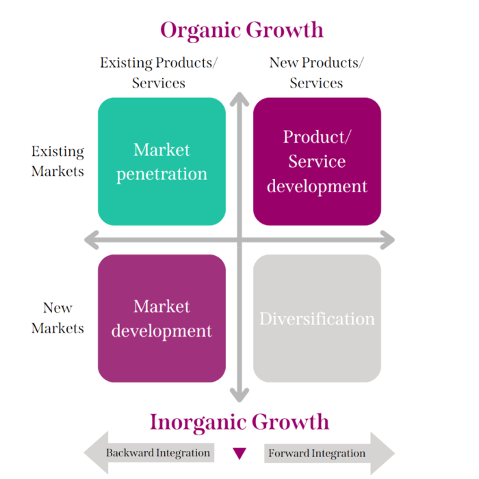 Business Growth Strategies Review