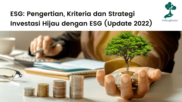 Sustainable Investing Indonesia