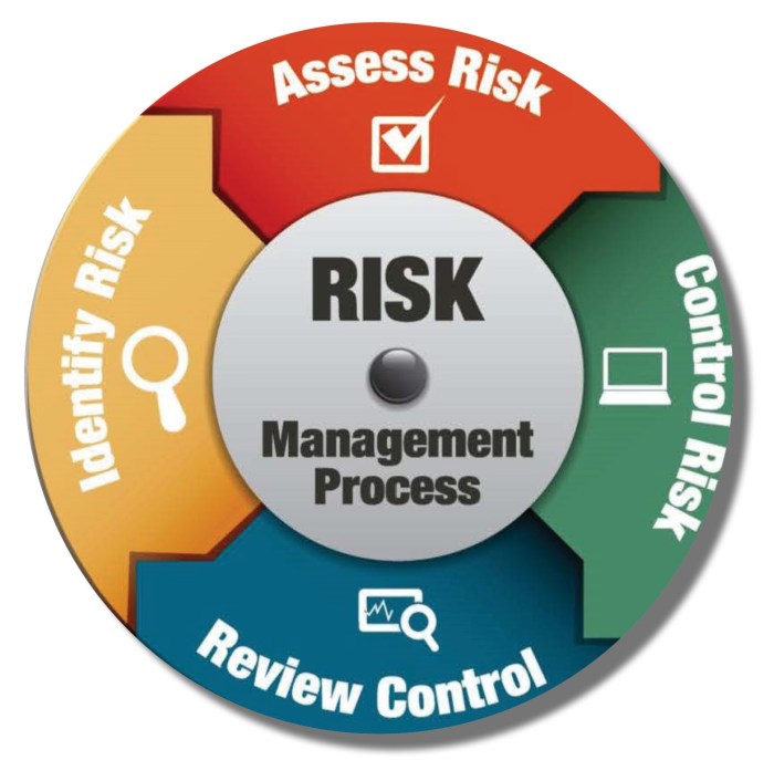 Risk Management Strategies Guide