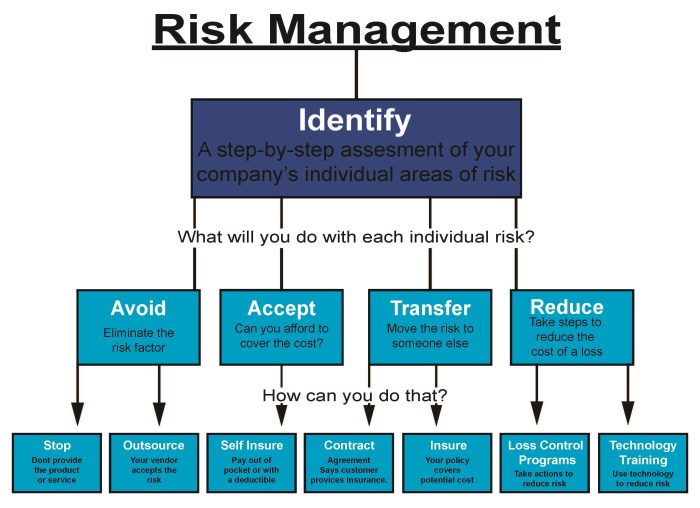 Risk Management Strategies Guide