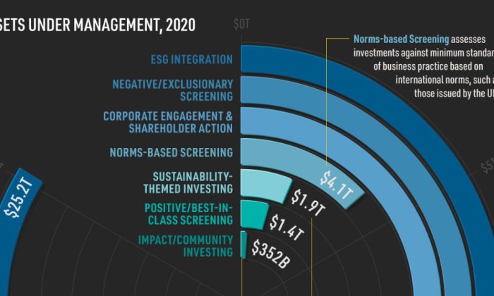 ESG Investing Strategies Review