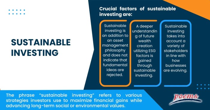 Sustainable Investing Framework