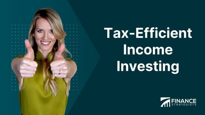 Tax-Efficient Investment Techniques