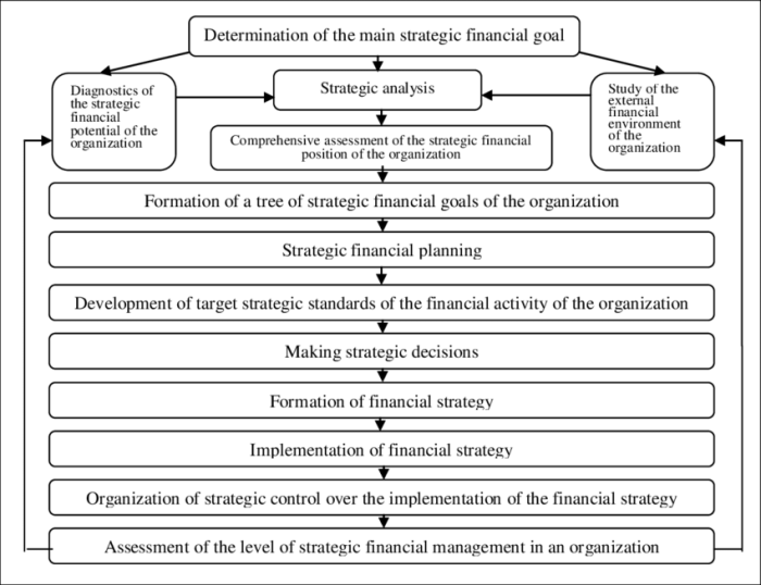 Strategic Financial Management Techniques