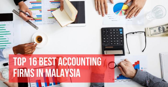 Accounting Firms Review