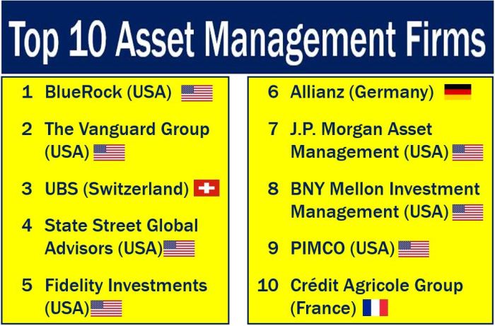 Investment Management Companies Review