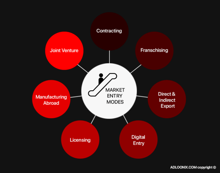 Strategy roadmap components