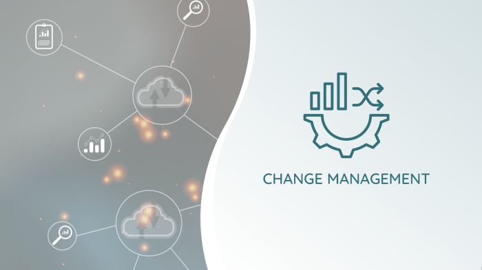 Change Management Finance