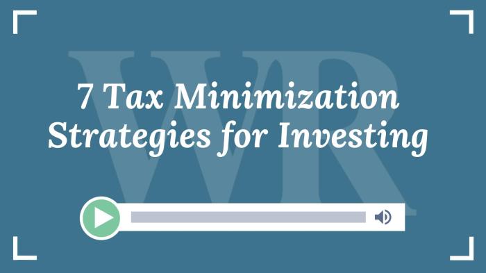 Tax Optimization Techniques Review