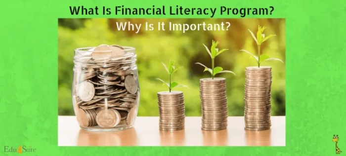 Financial Literacy Education Programs