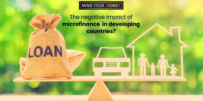 Microfinance Impact Analysis