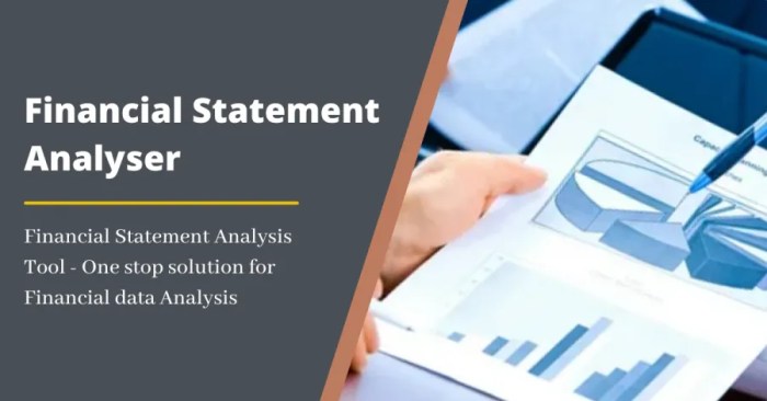 Financial Statement Analysis Tools