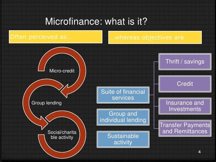 Microfinance Impact Analysis Report