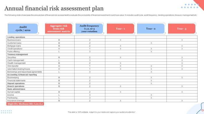 Financial Risk Assessment