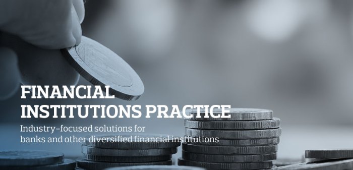 Financial Institution Risk Management