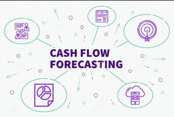 Cash Flow Forecasting