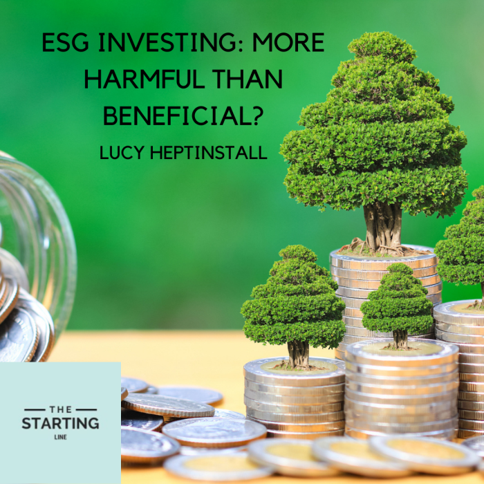 ESG Investing Strategies Review