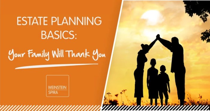 Estate planning chart plan