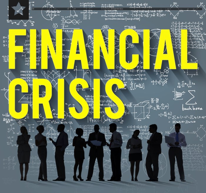 Financial Crisis Management