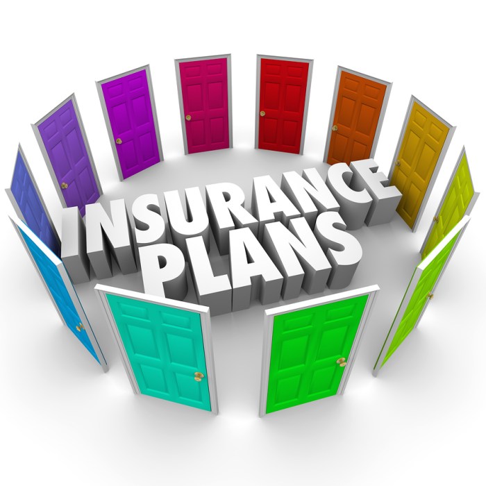 Insurance Planning Guide