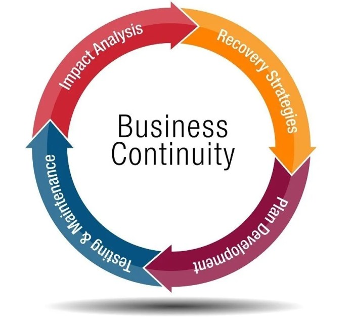 Continuity business testing checklist plans plan factsheet data