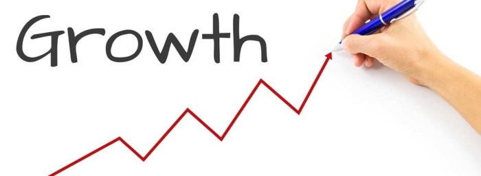 Business Growth Strategies Review