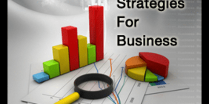 Business Growth Strategies Review