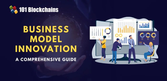 Business Model Innovation