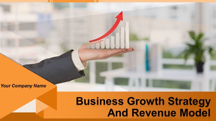 Business Growth Strategies