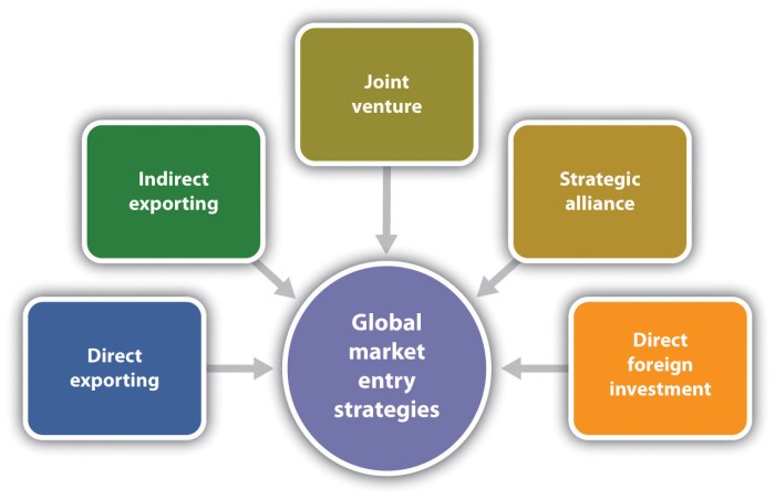 Market Entry Strategies Guide