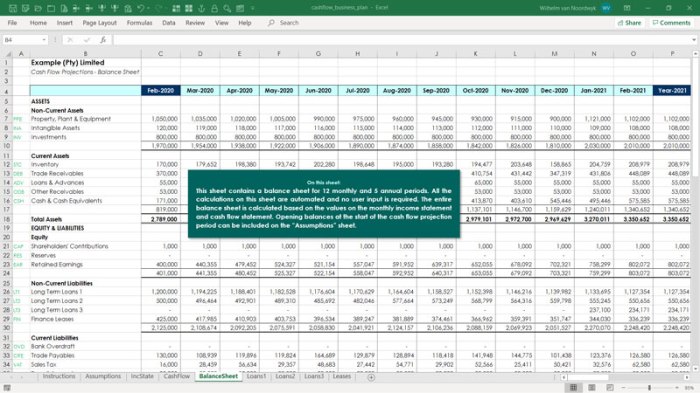 Business Plan Financial Projections