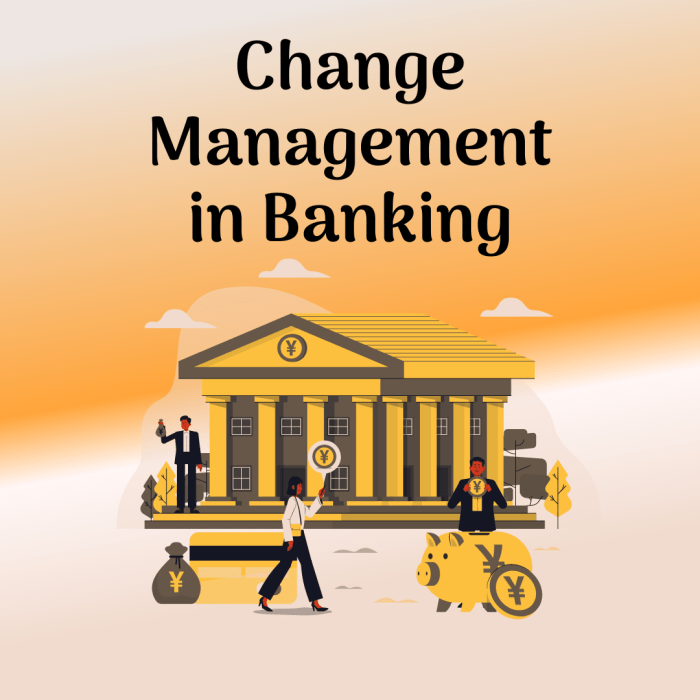 Change Management Finance