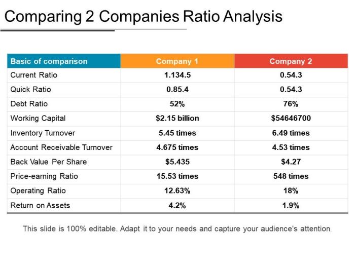 Ratio Analysis Techniques