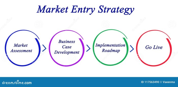 Market Entry Strategies