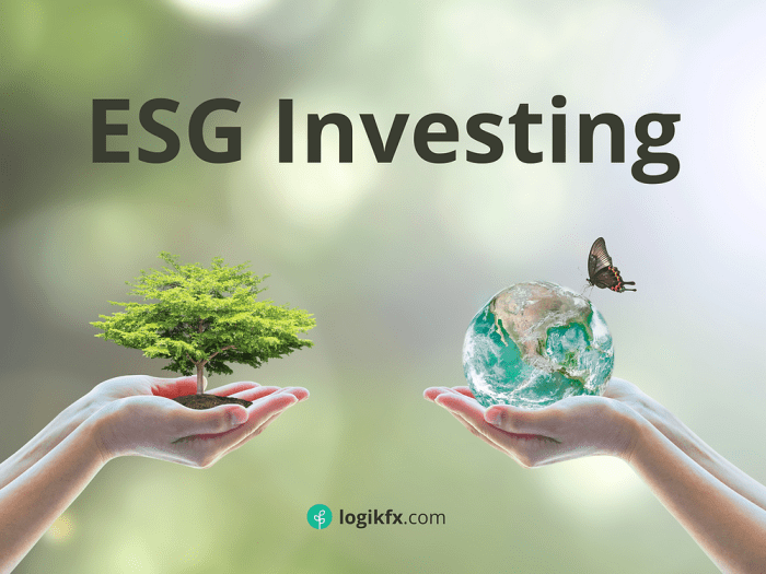 Esg investing investment moneylion factors impact