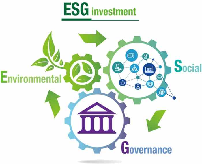 ESG Investing Framework