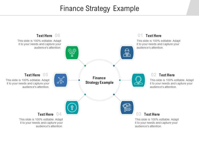 Financial Strategy Development