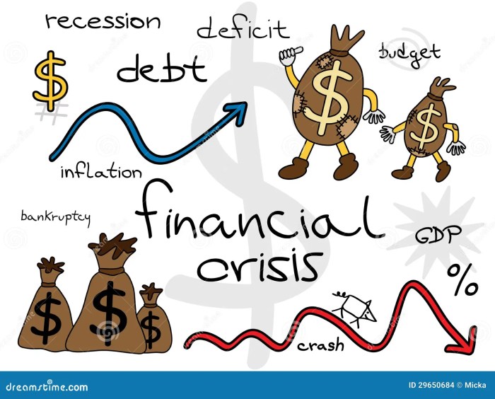 Financial Crisis Management