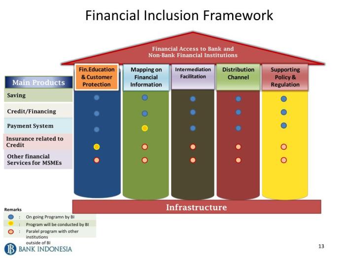 Financial Inclusion Strategies Review