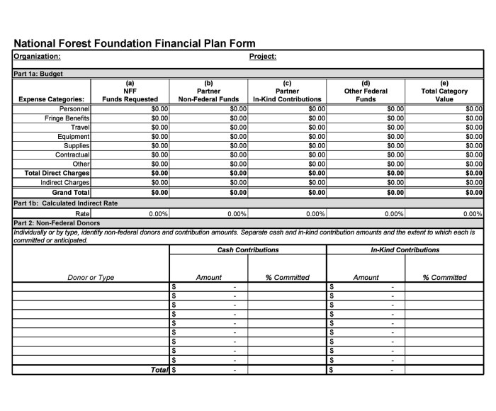 Financial plan templates template business personal kb professional samples templatelab