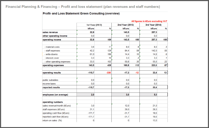 Business Financial Planning Guide