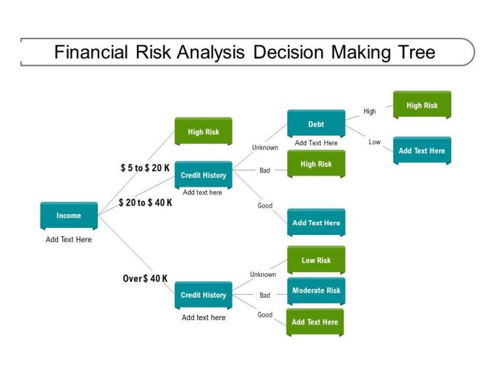 Financial Risk Assessment